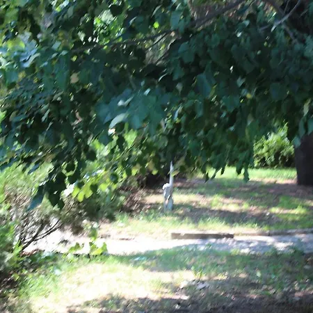 Diana Hotel Nisipurile de Aur